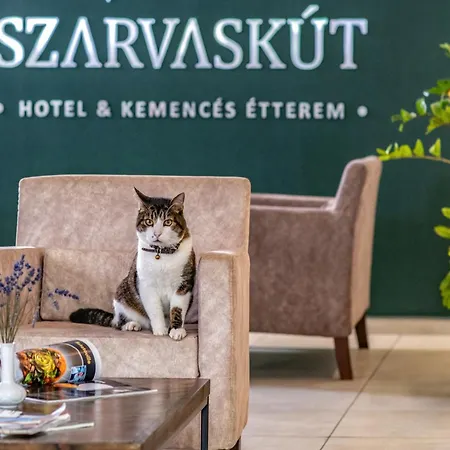 Szarvaskut