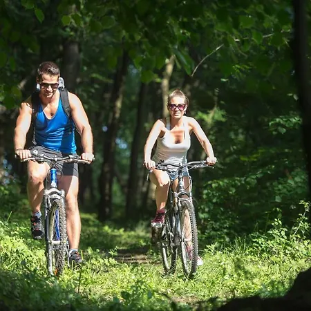 Szarvaskut ホテル 4*