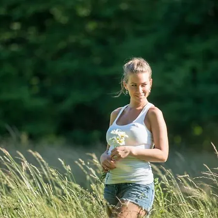 ホテル Szarvaskut ジルク