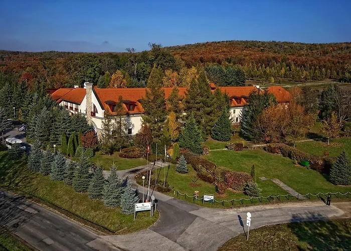 Szarvaskut